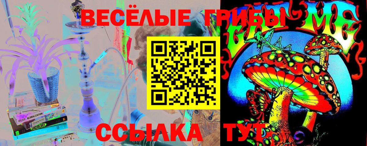 Галлюциногенные грибы Psilocybe  наркотики  Подольск  Псилоцибиновые грибы прущие грибы  Вход с VPN 